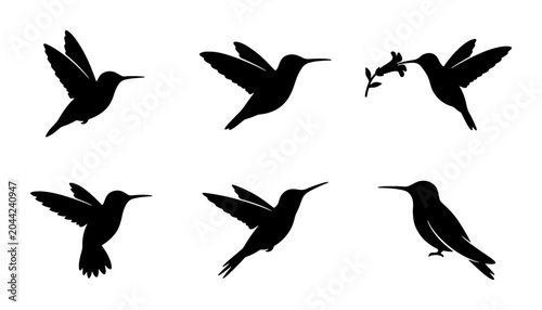 Foto Hummingbird Silhouettes Collection, Six Vector Graphics of Birds in Flight, Eleg
