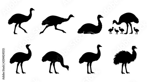 Foto Emu Silhouette Collection, Australian Wildlife Vector Icons, Diverse Poses and F