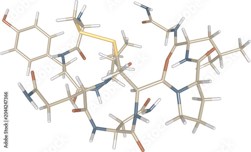 Photos 3D Stick Model of Oxytocin Hormone Molecule, Detailed Chemical Structure for Bio