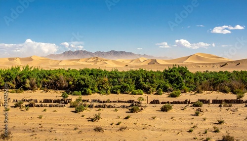 Dry savanna landscape with sparse acacia trees under blue sky.