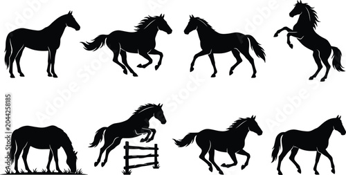 Bild auf Leinwand Horse Silhouette Collection Featuring Running Grazing Jumping Rearing and Walkin
