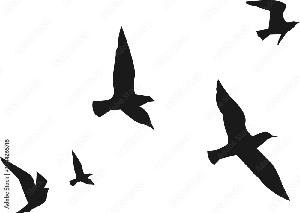 Fototapeta premium Silhouette Flock of Birds in Flight