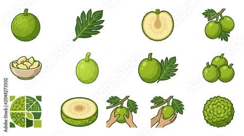 Obraz na płótnie Collection of Breadfruit Illustrations and Graphics.