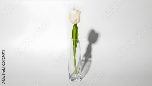 Minimalist White Tulip in Glass Vase – Clean Modern Floral Still Life, Soft Light and Neutral Background for Elegant Branding, Decor, and Product Design