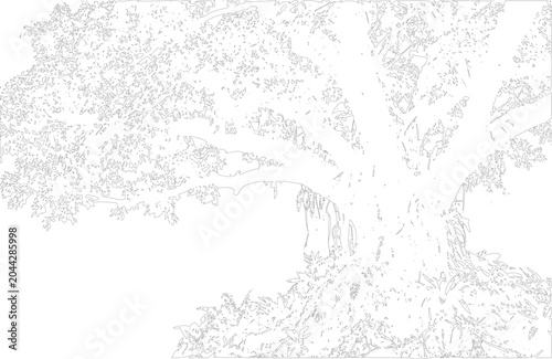 Bild auf Leinwand A large tree with sprawling branches and leaves on white transparent background