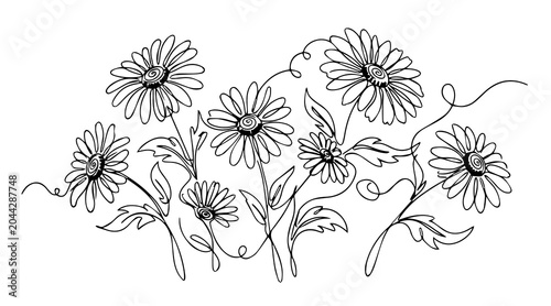 Continuous Line Art Daisy Flower Field, Minimalist Chamomile Floral Vector Illustration
