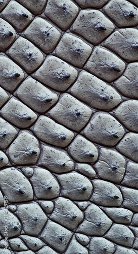Close-up of a pile of smooth river stones texture.