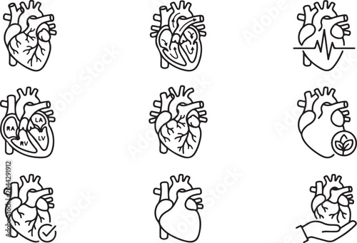 Photos Anatomical heart line art icon