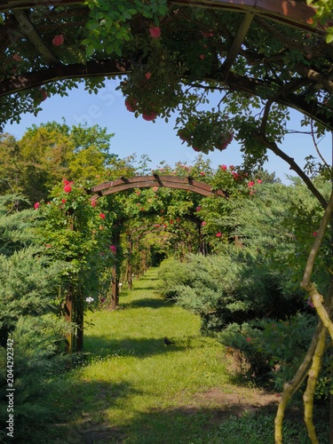 An enchanting, storybook rose garden tunnel leading through misty arches with integrated fairy lights, suggesting a blissful, relaxed fairytale realm.