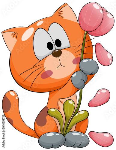 cat with flower