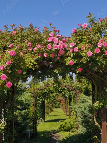 An enchanting, storybook rose garden tunnel leading through misty arches with integrated fairy lights, suggesting a blissful, relaxed fairytale realm.