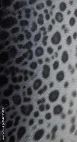 Close up view of microscopic bubble texture pattern.