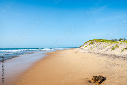 Calm and Peaceful Tropical Beach Under a Clear Blue Sky