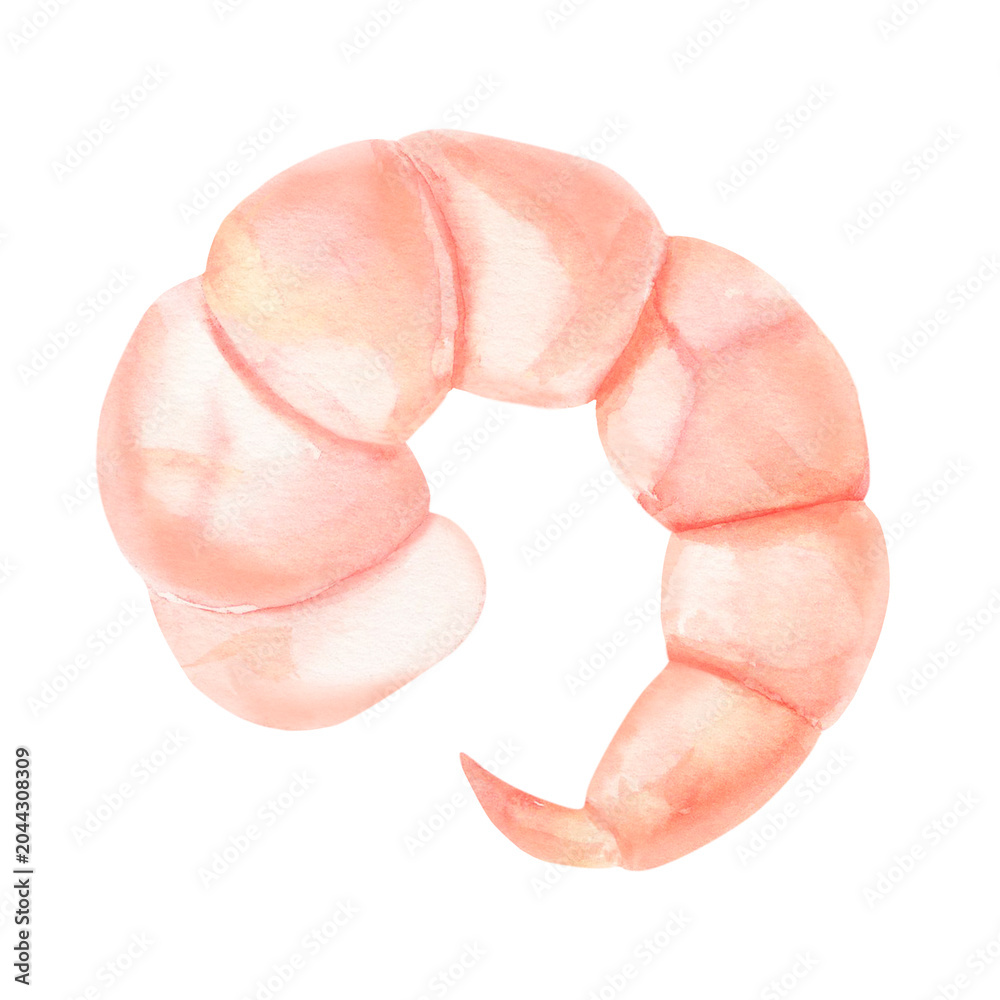 Fototapeta premium Peeled cooked shrimp. Hand-painted watercolor illustration isolated on white for seafood menus, recipe books, food packaging, restaurant branding, Asian cuisine, culinary blogs, nutrition content