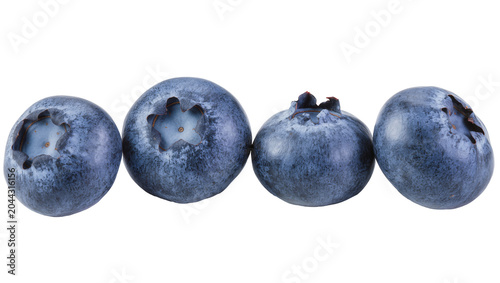 Fényképezés Four ripe blueberries with visible calyx remnants