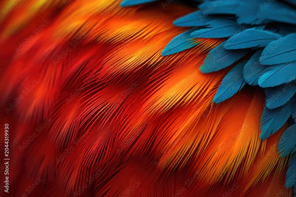 Obraz premium Parrot backgrounds pattern bird.