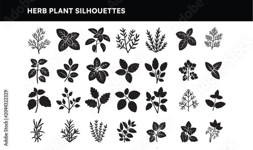 Herb and Medicinal Plant Silhouette Collection Vector Set - Black Flat Botanical Leaf Sprig and Garden Herb Shapes for Nature and Organic Design