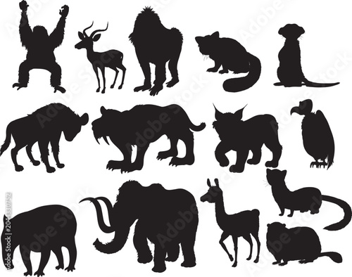 Photography Wild animals silhouettes vector set illustration collection of horse dog cat cow