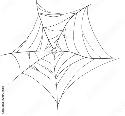Fotografi Halloween spider and cobweb, line net trap border, corner