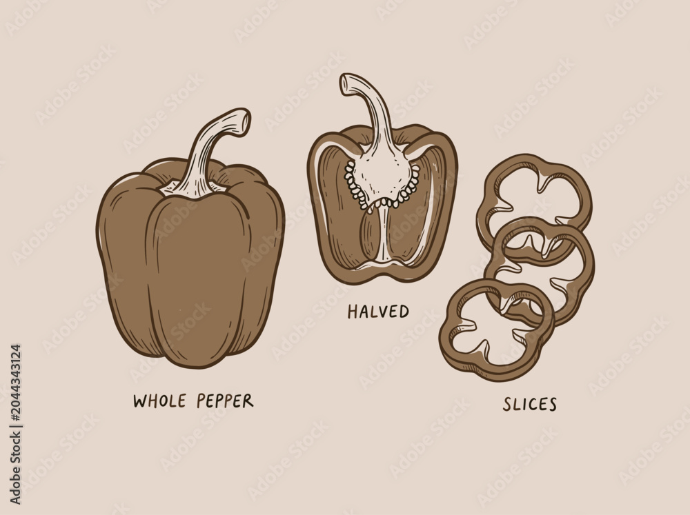 Obraz premium Hand drawn line art of bell pepper set with full and slice, minimalist vegetable sketch on beige background