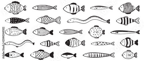 Foto Collection of various doodle fish illustrations, hand drawn sketch style sea creatures, isolated on white background