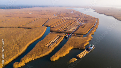 Valokuva Aerial view of a barge transporting harvested golden reeds through narrow waterw