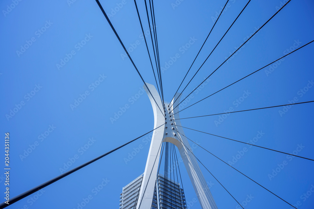 Fototapeta premium 青空の隅田川と中央大橋 東京都中央区