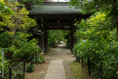 梅雨の季節の本土寺　千葉県松戸市