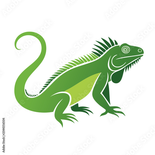 Green Iguana Illustration