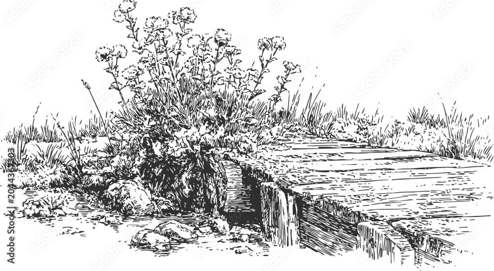 Obraz premium Rustic wooden bridge over stream with wildflowers and grass in countryside engraving