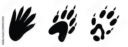 Set of rodent paw prints silhouettes isolated on transparent background. Collection of different small mammal tracks, wildlife footprint icons for design.