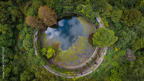 Foto Aerial view of a circular pond covered with green lily pads, surrounded by a den