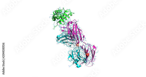 Tezepelumab, therapeutic antibody for thymic stromal lymphopoietin antagonism and severe asthma, 3D molecule 4K