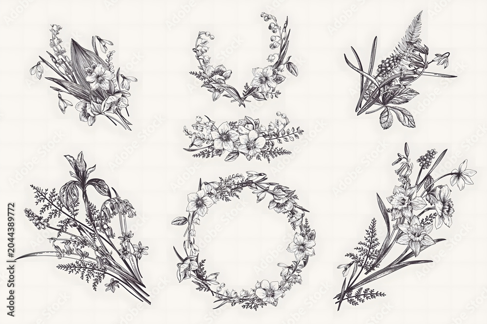 Fototapeta premium Delicate floral botanical line art illustration set on white background minimalist style