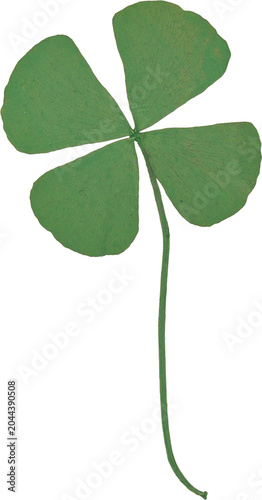 Green Vintage Pressed Four Leaf Clover