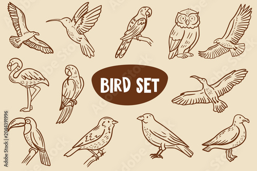 Foto Collection of hand-drawn bird illustrations featuring various species including