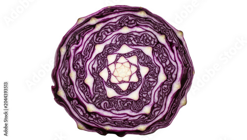 Red cabbage cross-section with intricate layered pattern
