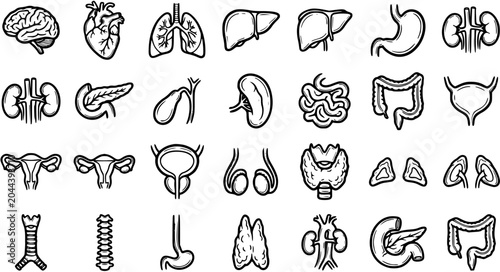 Foto Black and White Line Art Icons of Human Organs for Medical and Science Concepts