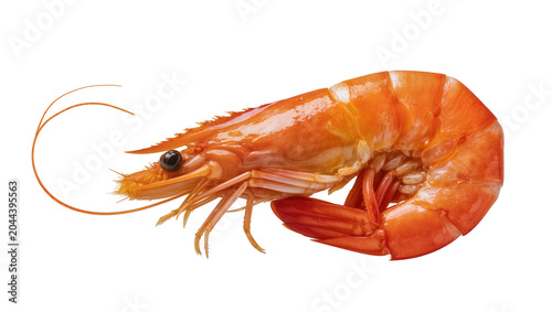 Bild auf Leinwand Cooked orange shrimp with visible legs and antennae