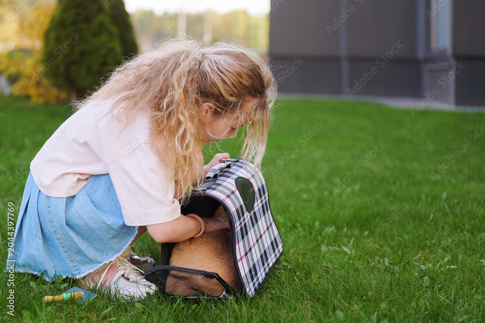 Fototapeta premium Girl with her cat in a carrier on the street. Child playing with pet outdoors on the grass.