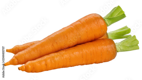 Orange carrots with green leafy tops