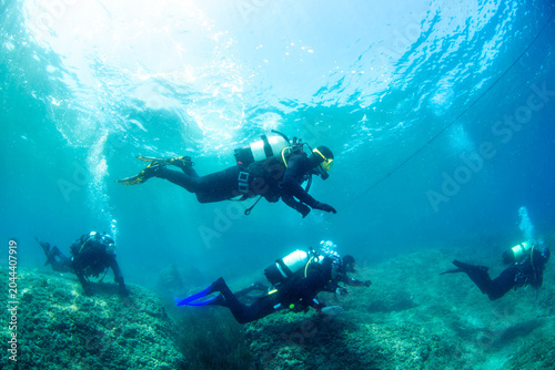 Quadro su tela Learning scuba diving in clear water with a group of divers exploring underwater