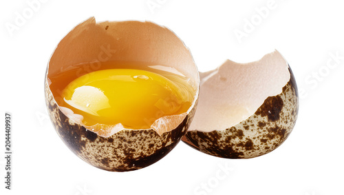 Broken Quail Egg with Yellow Yolk and White
