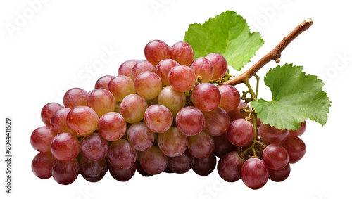 Red globe grapes cluster with green leaves and stem