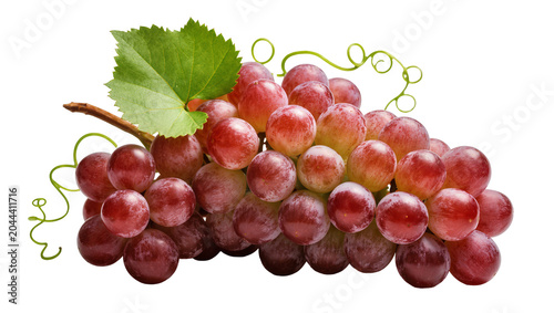 Red globe grapes cluster with green leaf and tendril