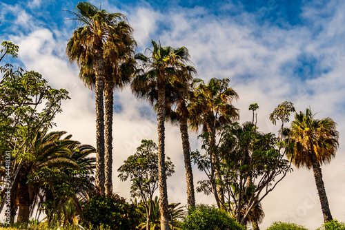 Paisaje en el municipio de Puerto de la Cruz, isla de Tenerife.