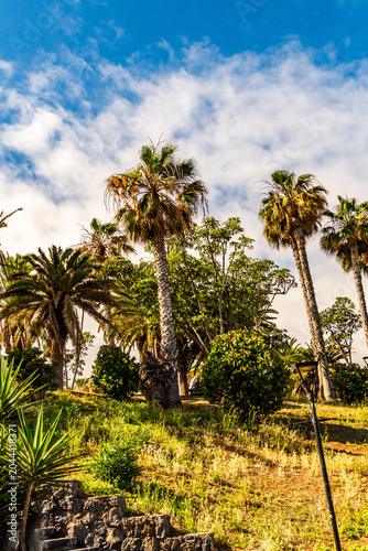 Paisaje en el municipio de Puerto de la Cruz, isla de Tenerife.