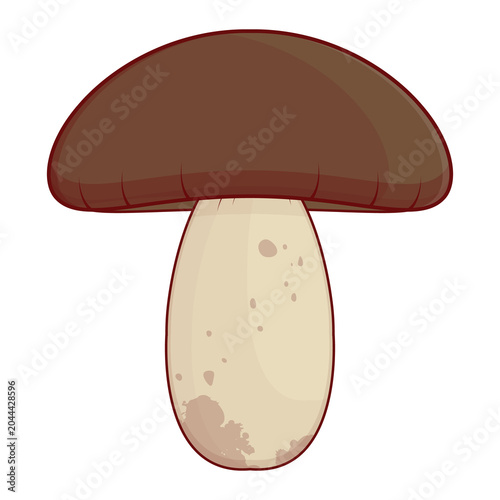 Porcini Mushroom illustration cartoon cute