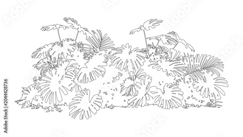 Exotic tropical foliage plant cluster in top view for architectural site plan illustration.