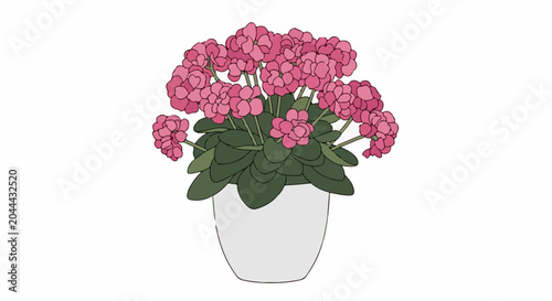 A potted plant with clusters of pink flowers and green leaves